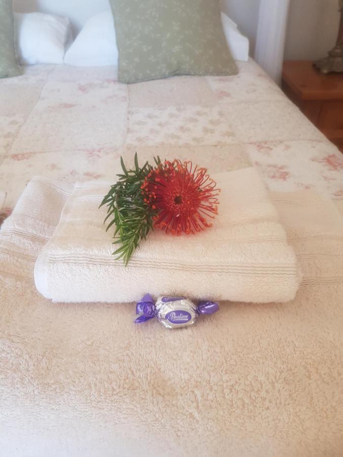 Papillon Guest Suite Simonʼs Town Dış mekan fotoğraf